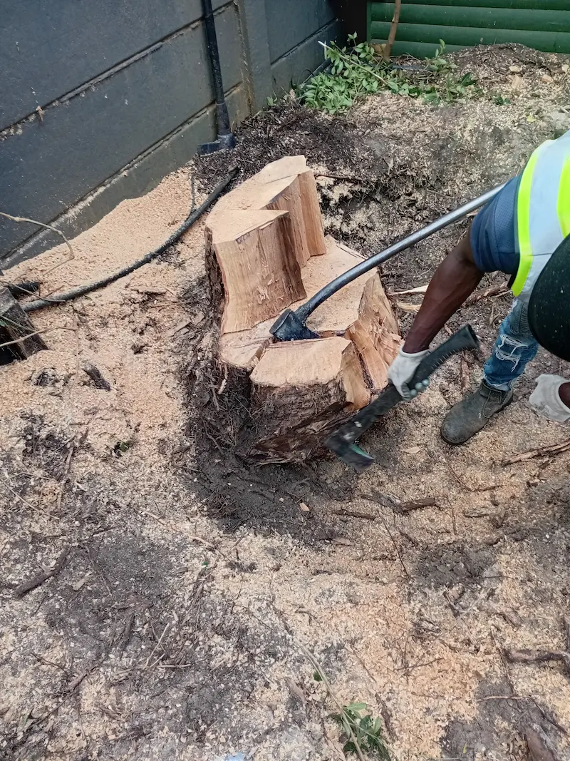 Tree stump removal services Somerset West